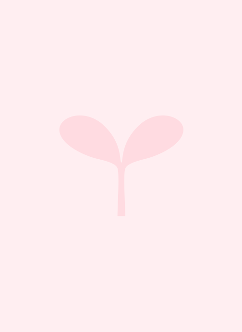 身代わり姫