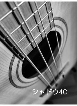シャドウ4C